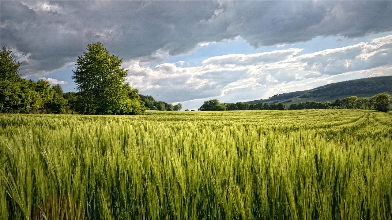 Van'da Dev Enerji Arazisi Mahkeme Tarafından Satışa Sunuldu! - Görsel 1